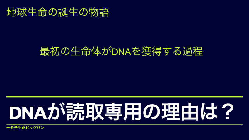 DNAの情報はなぜ読み取り専用なのか